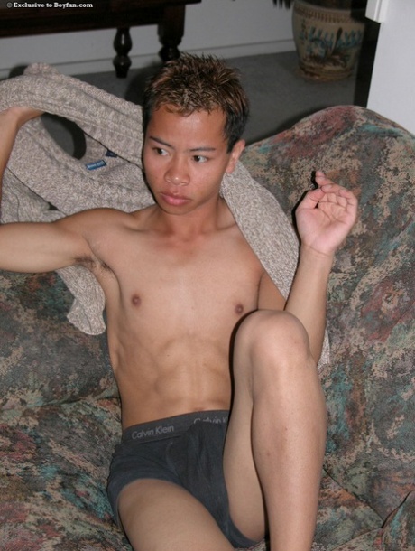amateur fait maison haute qualité gratuit photos