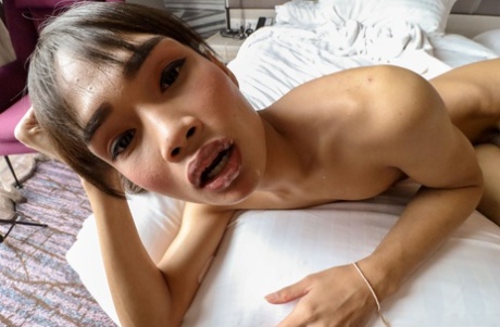 ladyboy éjacule sexy chaud collection