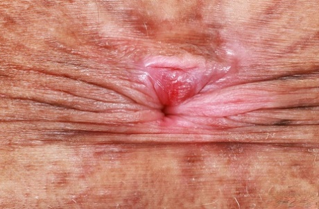 rövhål närbild topp perfekt foto