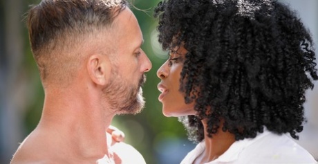 afro legal grátis arquivo