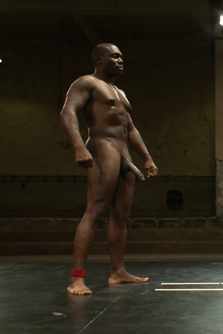 BBC homoseksuel nøgen perfekt pic