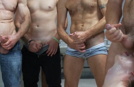gay cum eating nice galleries