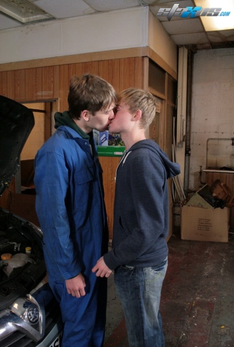 homo tiener kunst xxx verzameling
