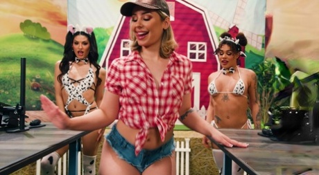 sobre travesti melhor alta qualidade arquivo