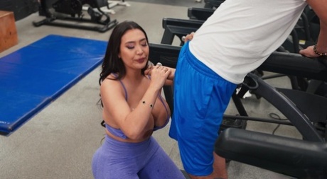 pantalones de yoga bbw caliente sexy archivo