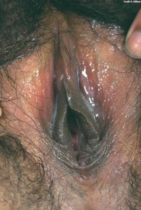 ebony hairy pussy naked pictures