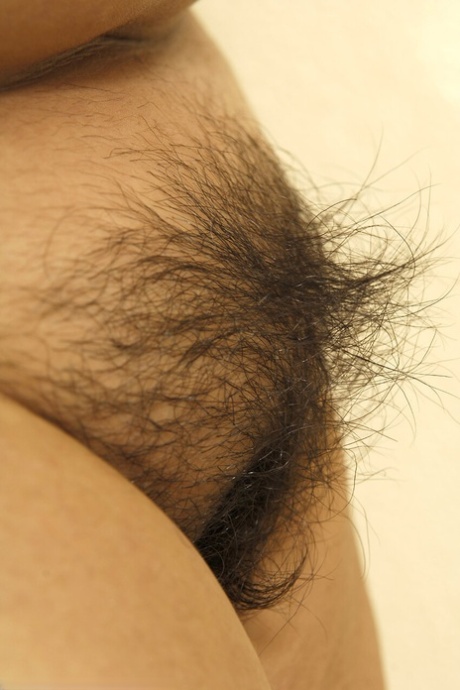 hairy vagina free porn galleries