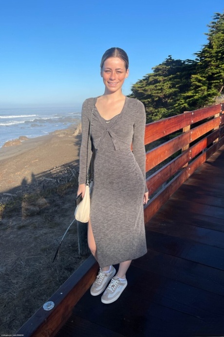 amateur beach pornos picture