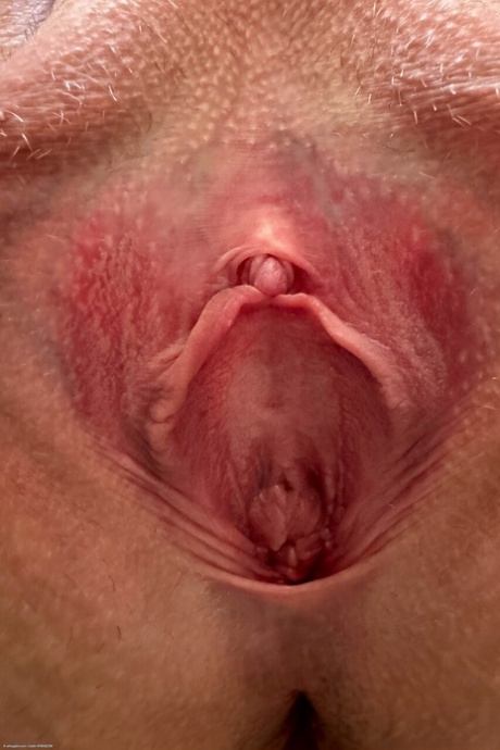 erect clit pornos galleries
