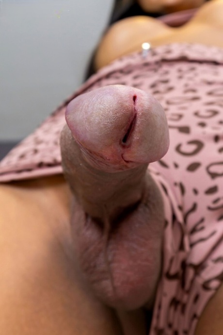 ladyboy big cock beautiful xxx photo