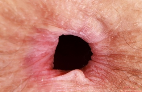 fat anal art porn galleries