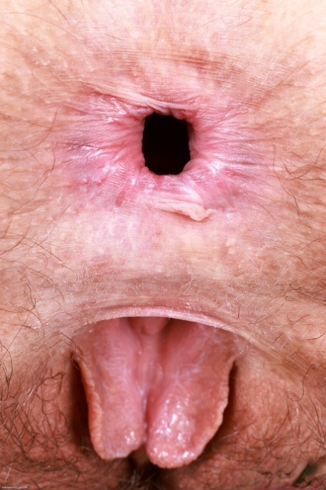 behåret moden sexpornografisk fotos