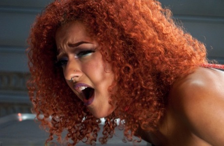 Daisy Ducati pornstar hot image