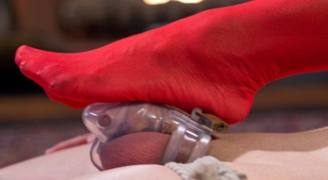 femdom ebano esclusivo gratuito galleria