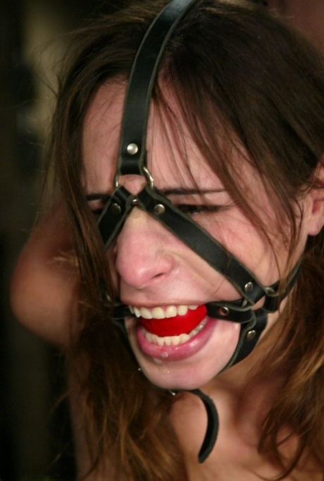 Amber Rayne pretty star galleries